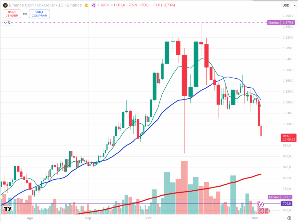 BNB Daily chart